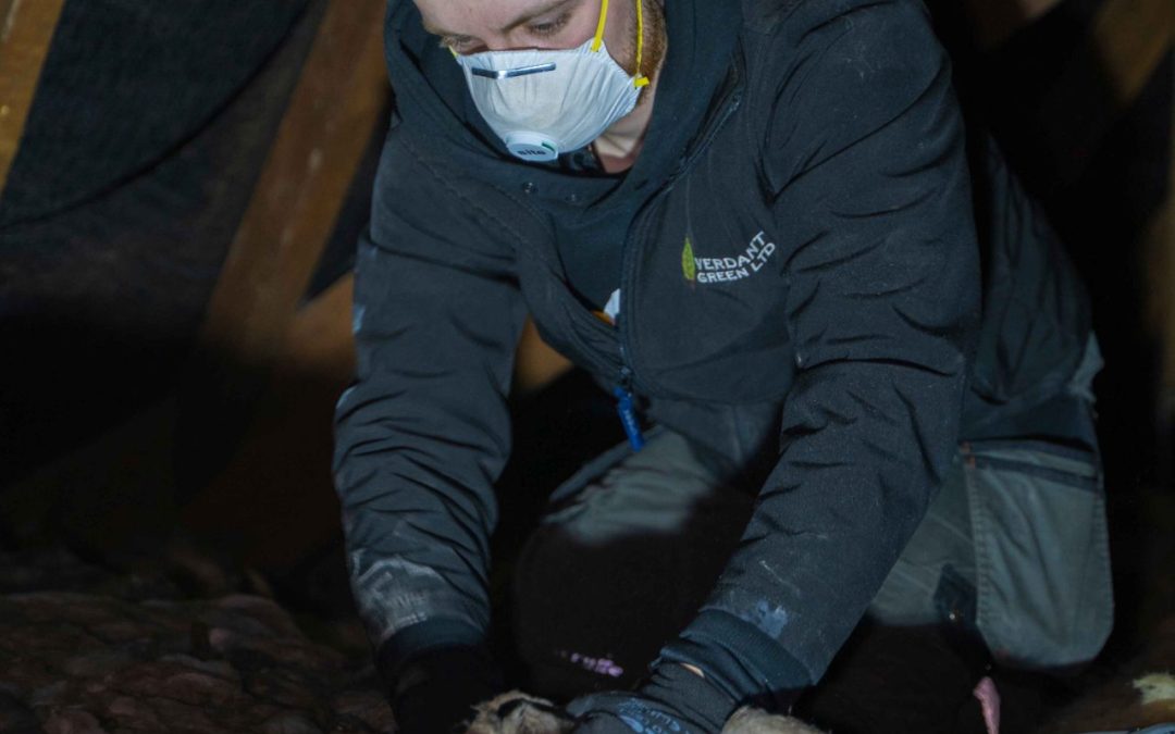 Why is My Loft Damp? The Essential Guide to Loft Ventilation for Birmingham Homeowners