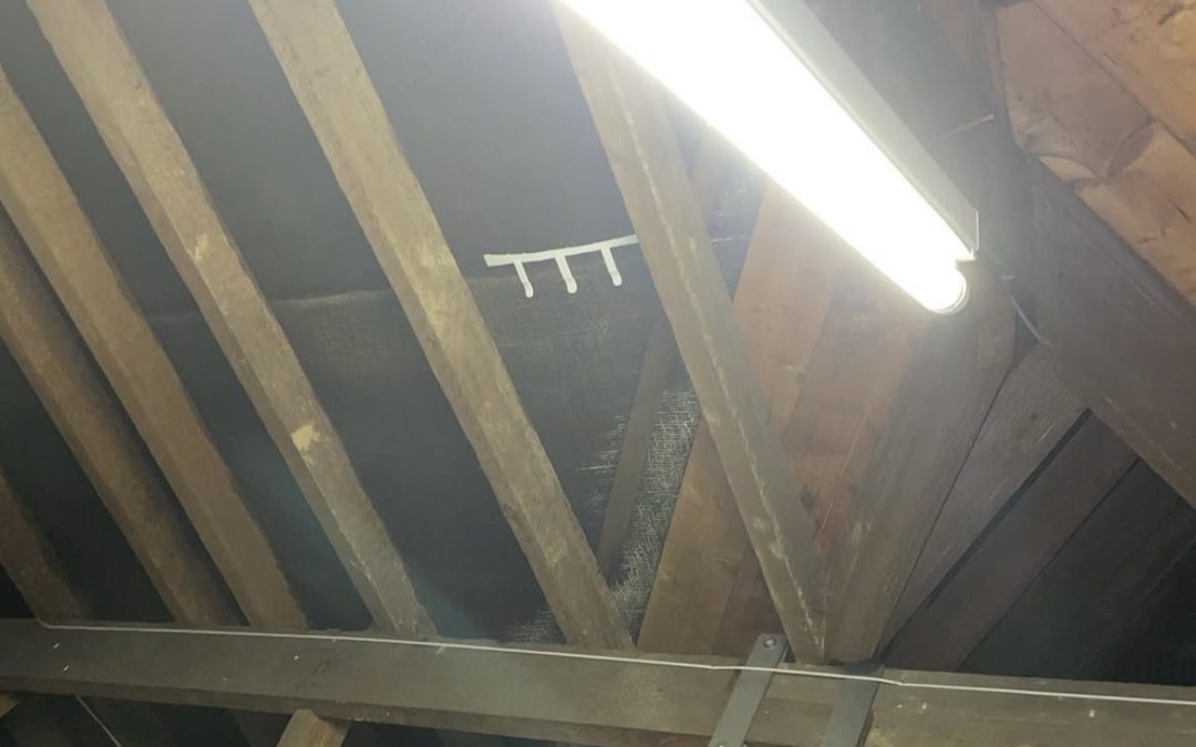 Damp Lofts Explained: Why Condensation Happens and How Ventilation Fixes It