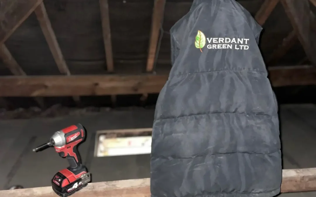 Is Your Loft Insulation Up to Standard in Birmingham’s Older Homes?